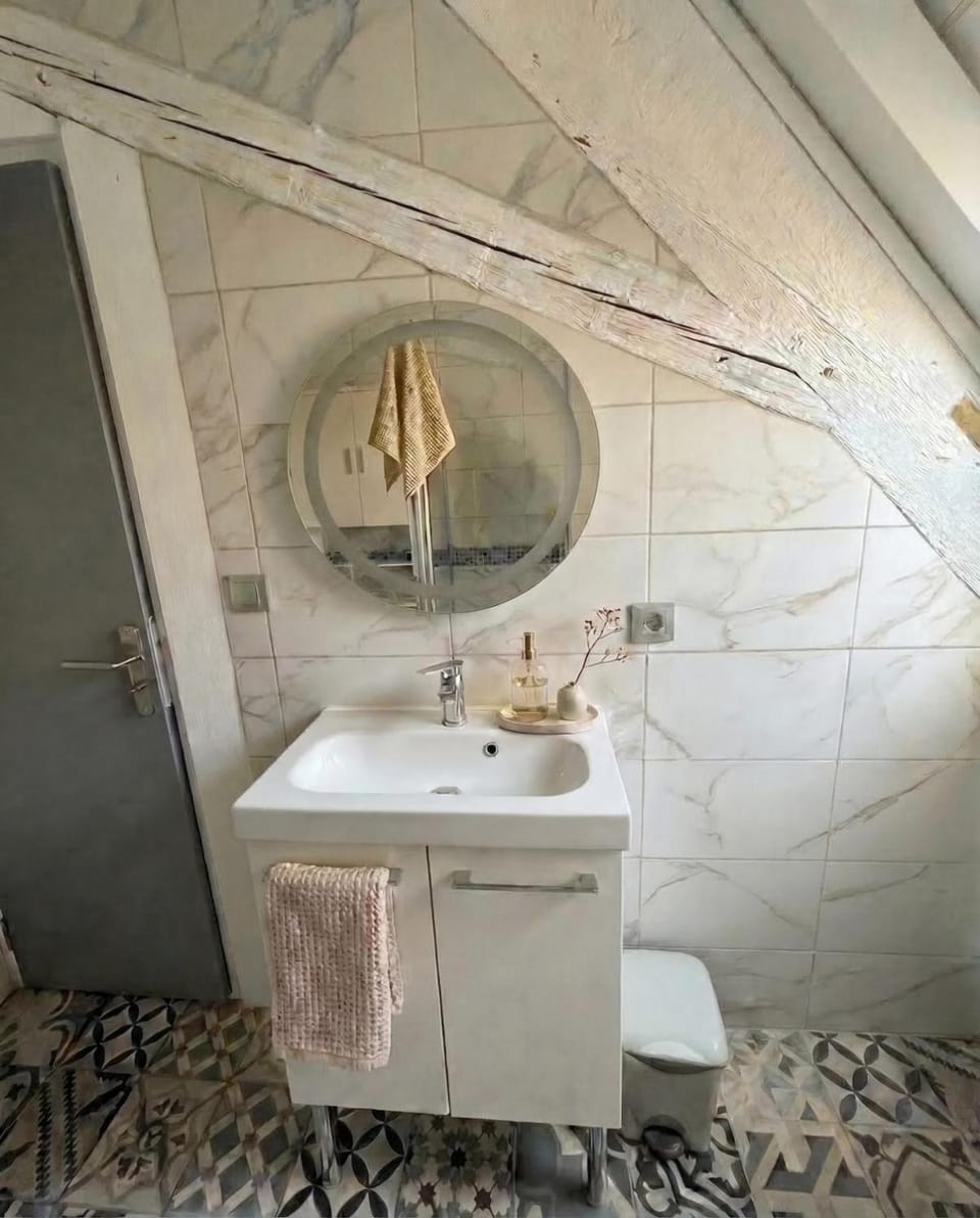 Écrin sous les toits - Charme et lumineux Apartment in Strasbourg
