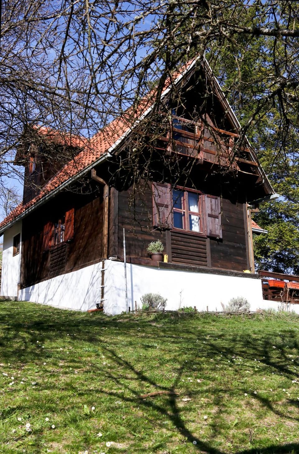 Sunny Rustic Cabin in the foothills of Tara Cabin in Zlatibor District, Serbia