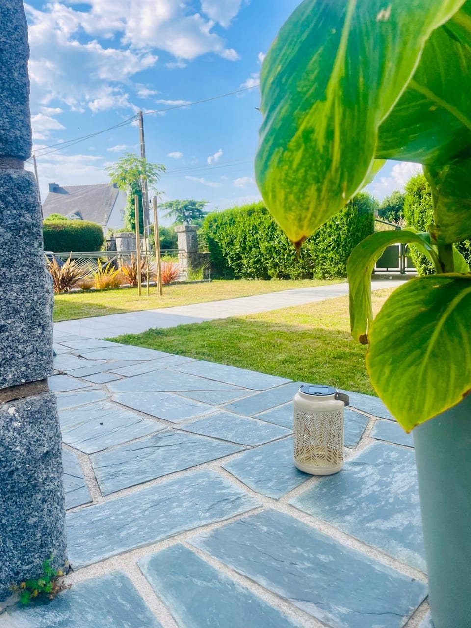 Garden, Garden, Garden view