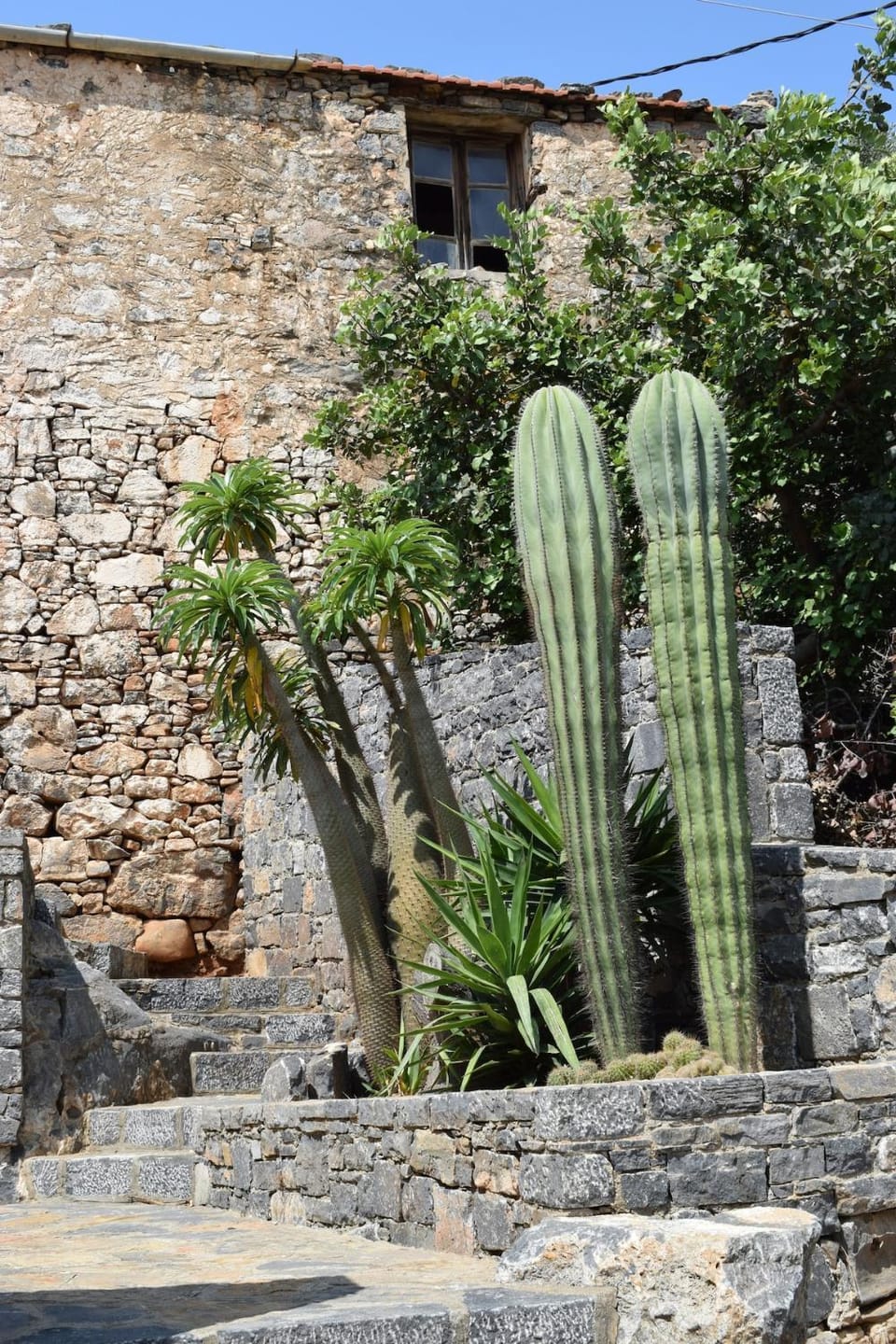 Garden view