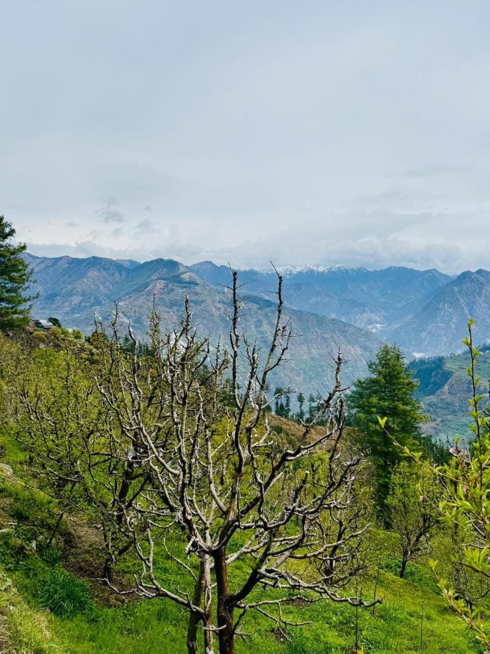 Nearby landmark, Spring, Mountain view