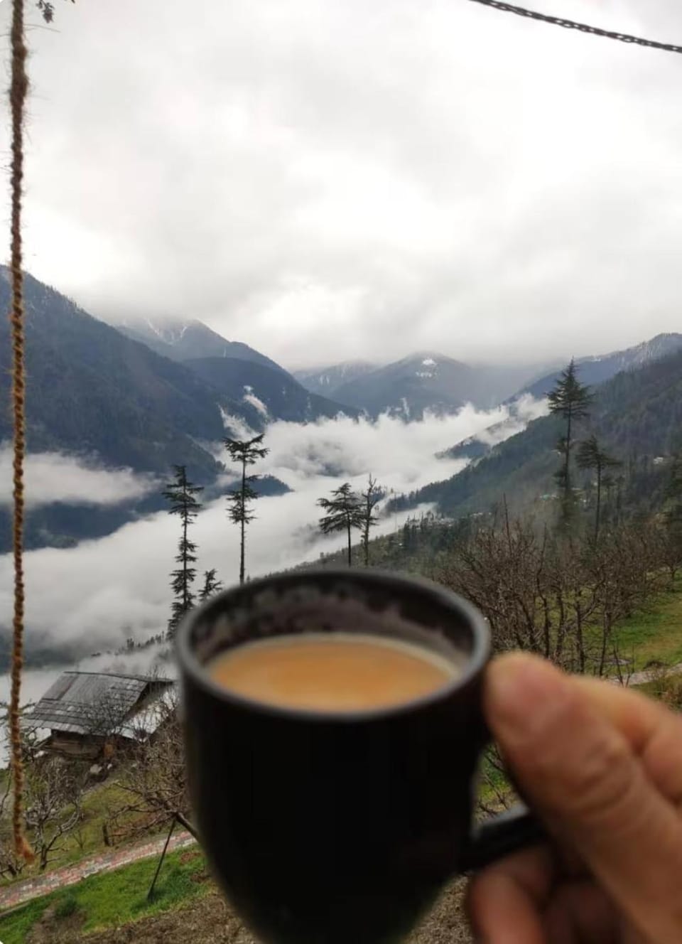 Cosy Crest House in Himachal Pradesh