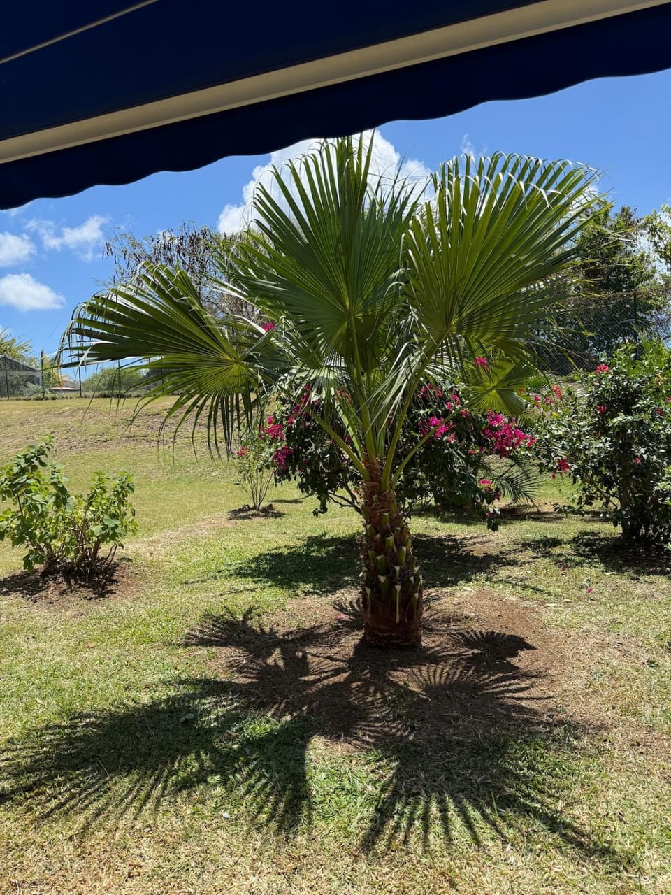 F3 tropical à 10 minutes de la plage Apartment in Sainte-Luce