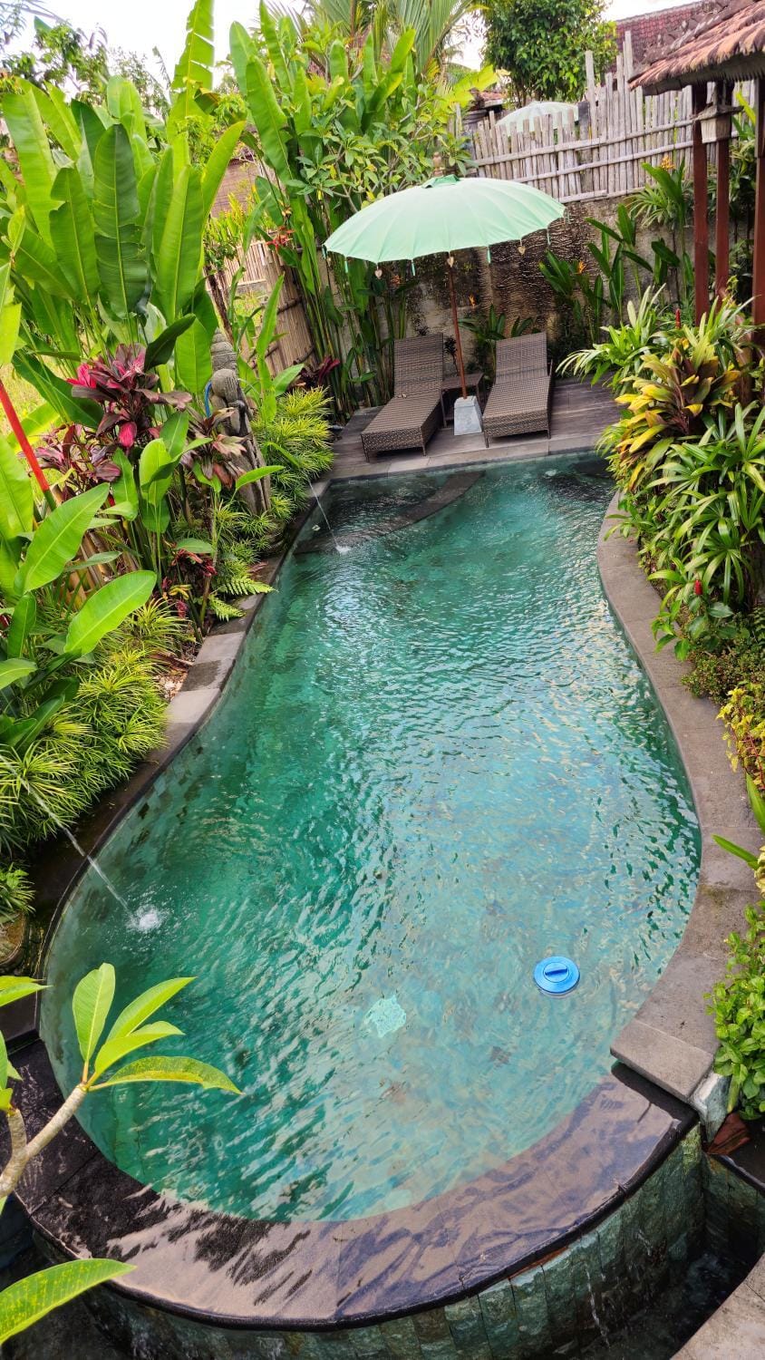 Garden, Swimming pool