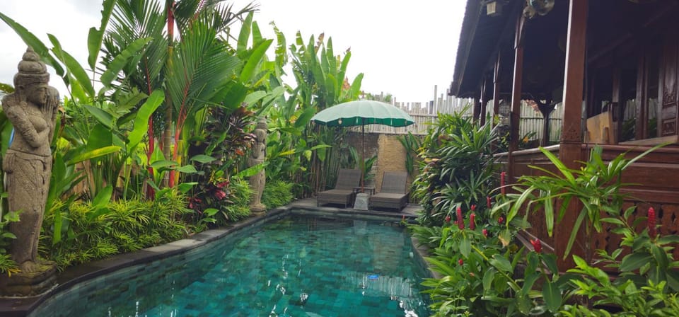 Garden, Swimming pool, sunbed