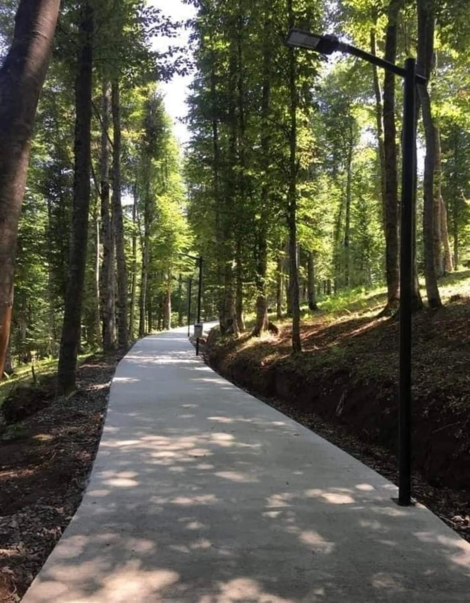 Quiet Forest Apartment in Bakuriani - Monthly Rent Apartment in Georgia