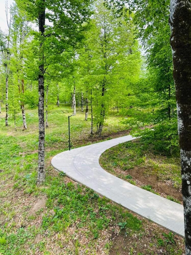Quiet Forest Apartment in Bakuriani - Monthly Rent Apartment in Georgia