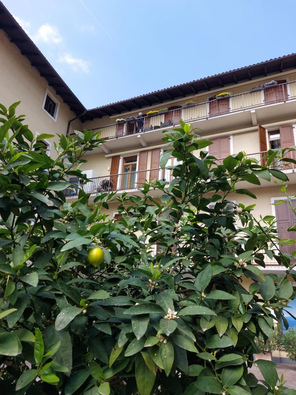 Property building
