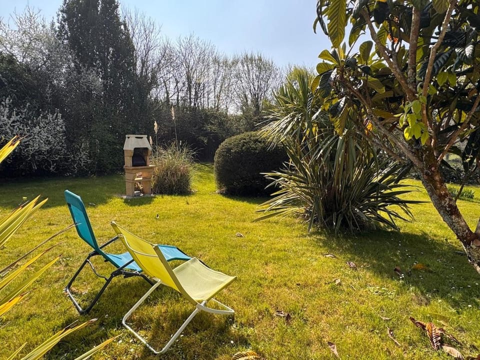 Day, Natural landscape, Garden, Garden, sunbed