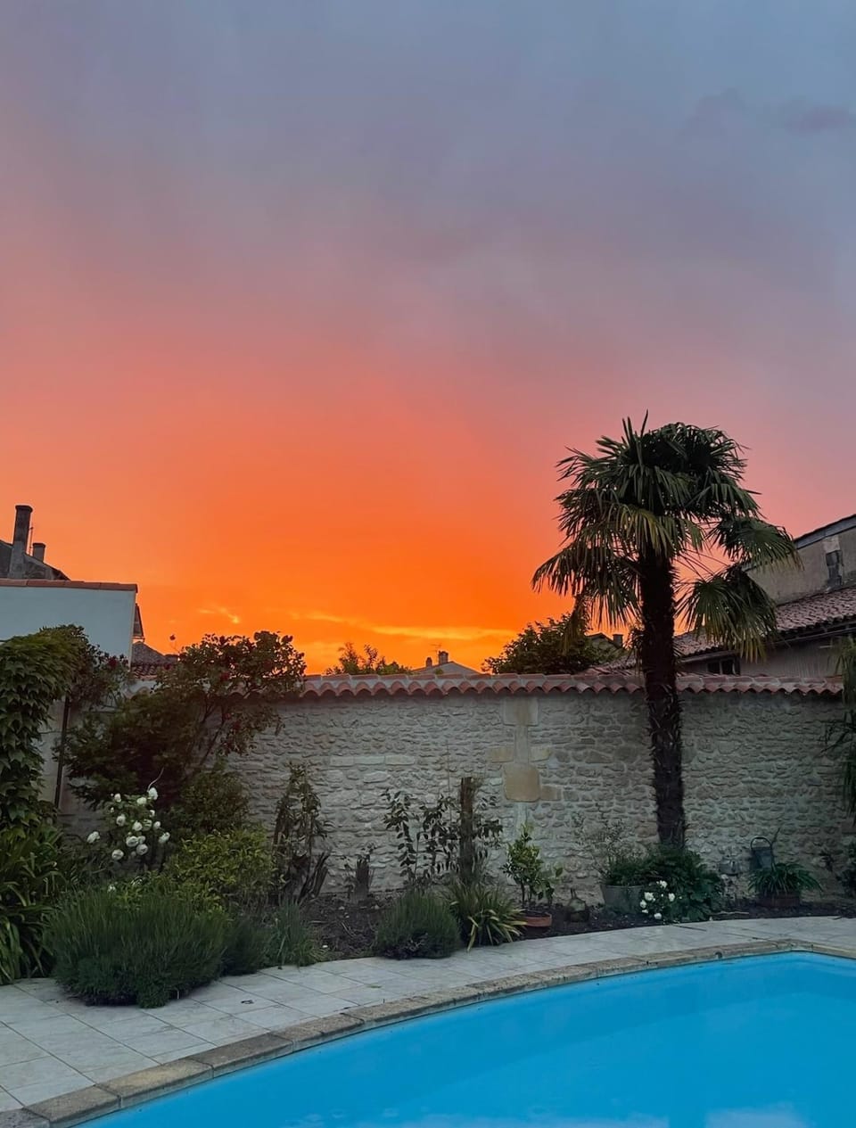Large house - Garden pool House in Cognac
