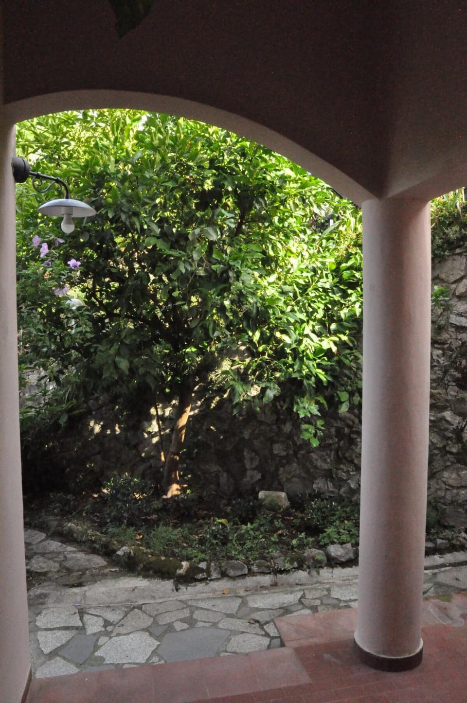 Patio, Garden view, Inner courtyard view