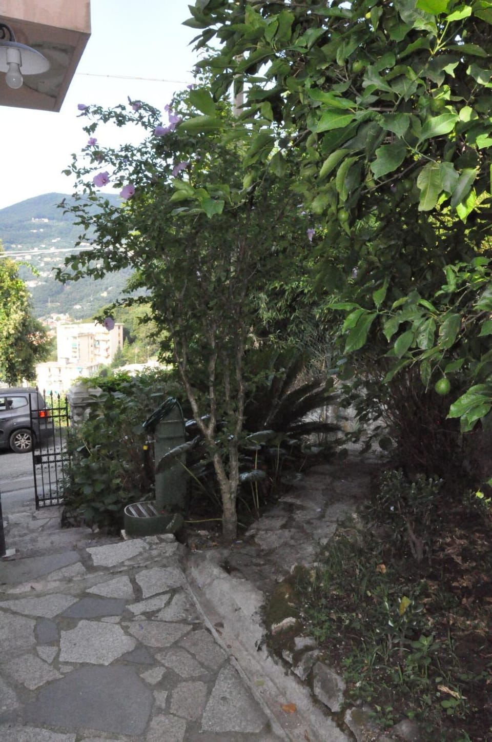 Patio, Garden view, Inner courtyard view