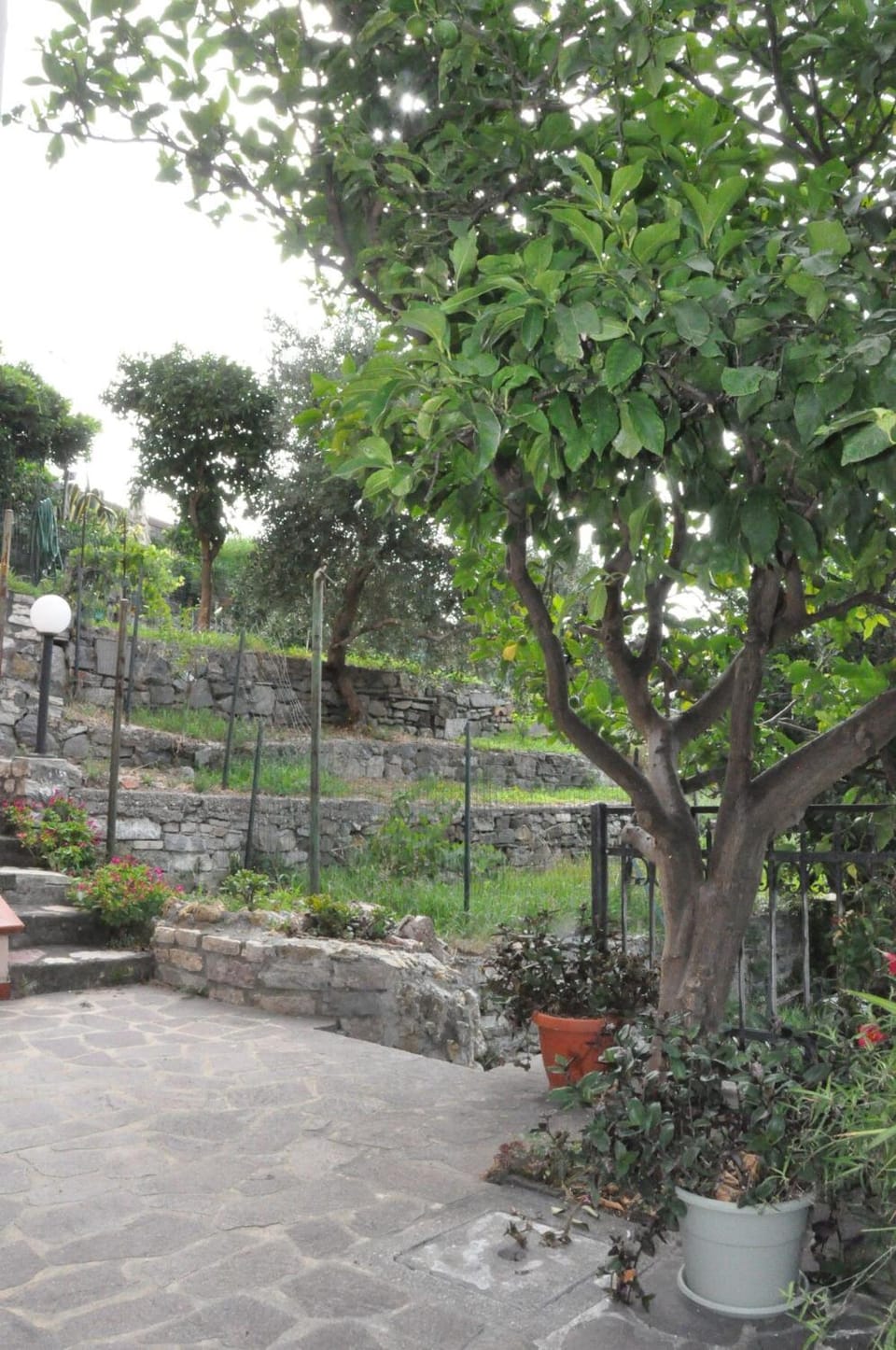 Patio, Natural landscape, Balcony/Terrace, Garden view