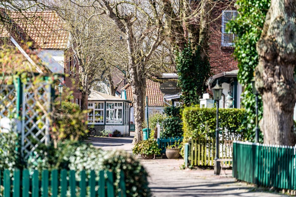 Property building, Day, Neighbourhood, Street view