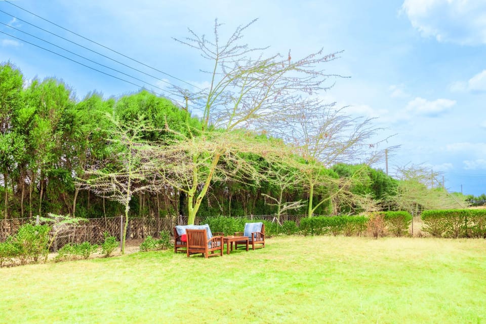 Natural landscape, Garden view