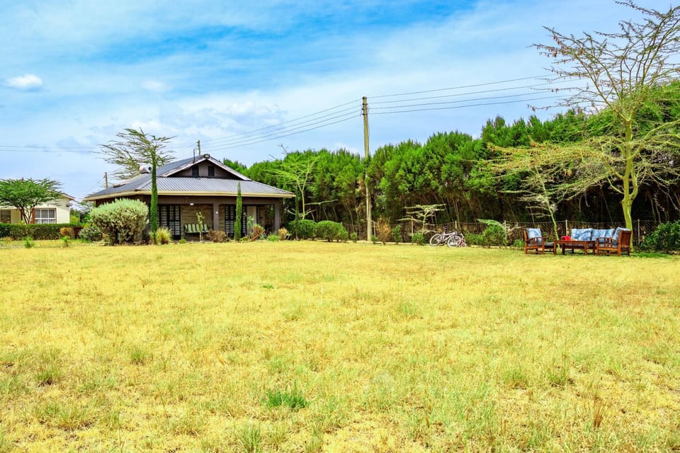 Natural landscape, Garden, Garden view