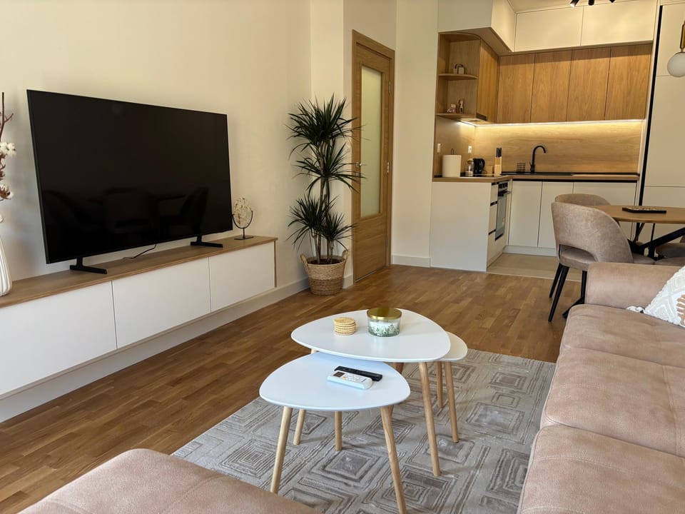 TV and multimedia