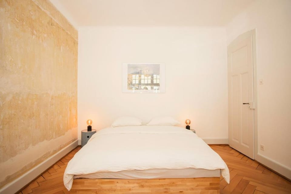 Beautifully renovated historic apartment near Messe Basel Apartment in Basel