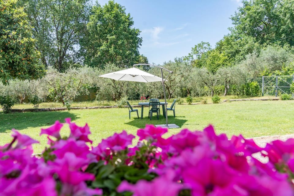 Day, Garden, Other, Garden view