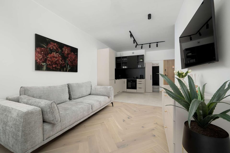 TV and multimedia, Kitchen or kitchenette, Living room, Seating area, Evening entertainment