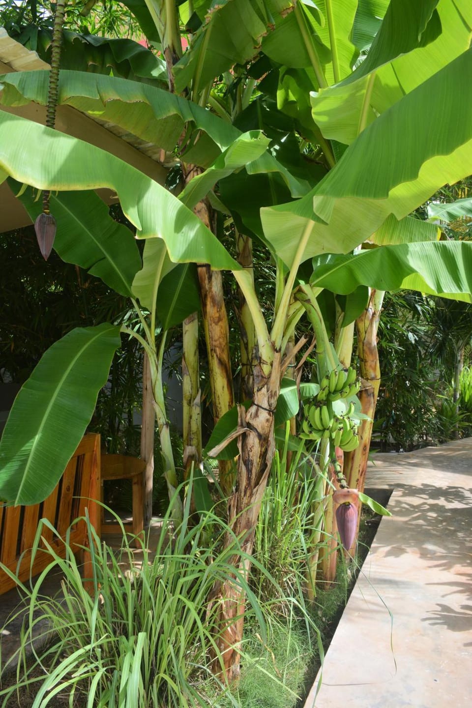 Garden, Garden view