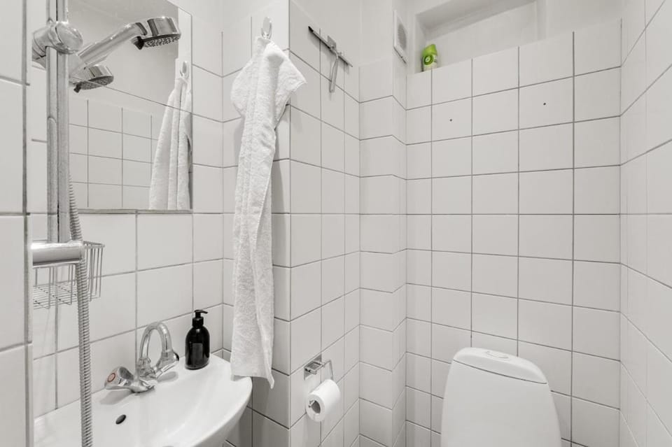 Lovely & cozy apartment in the heart of Copenhagen Apartment in Copenhagen