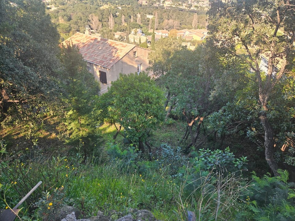 Natural landscape