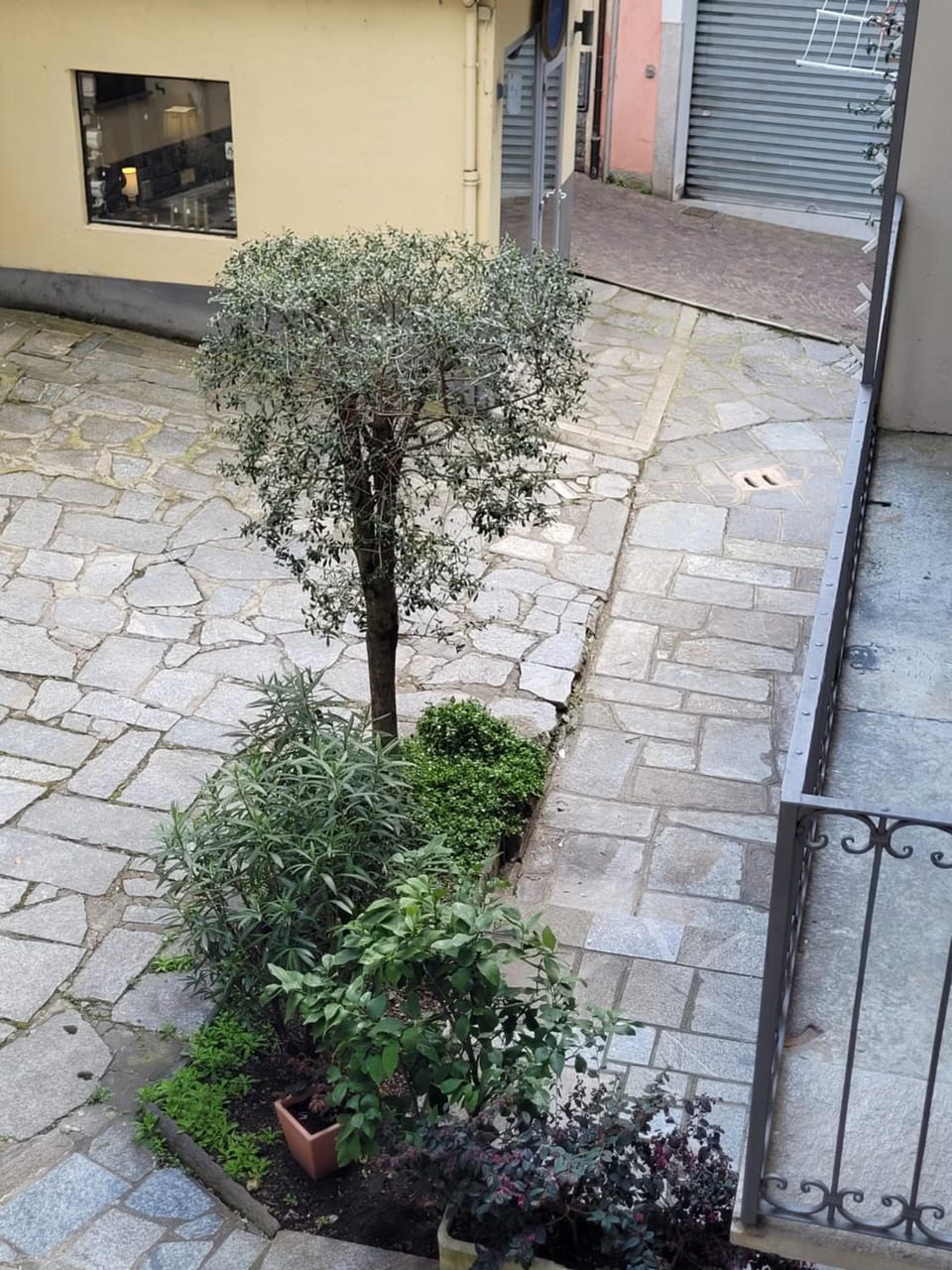 Garden view