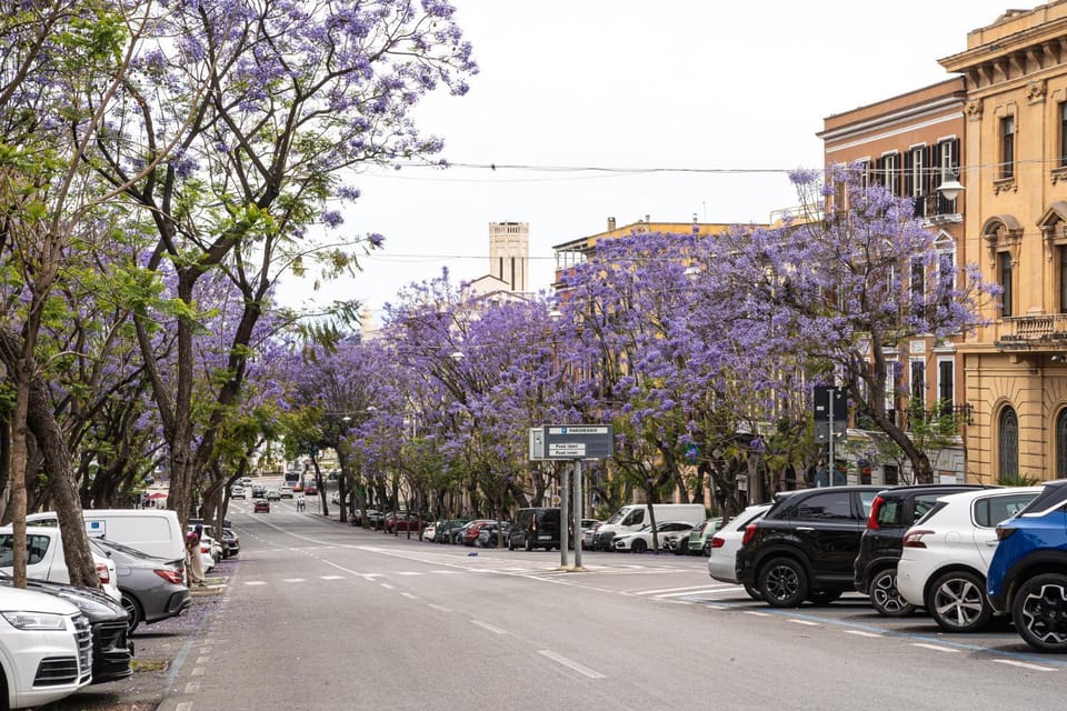 Neighbourhood