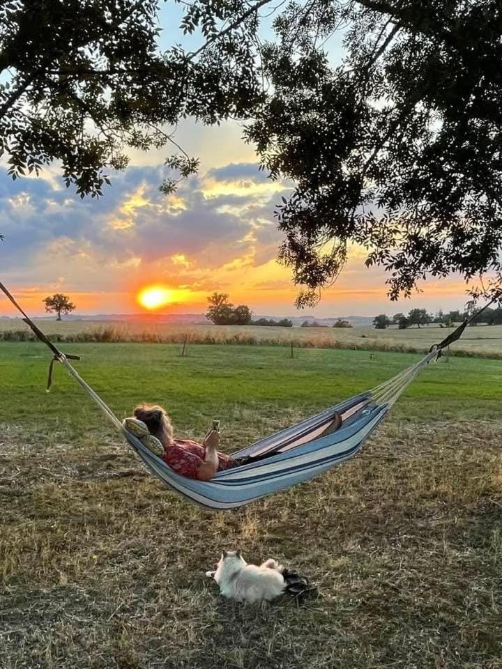 Natural landscape, Garden, Sunset