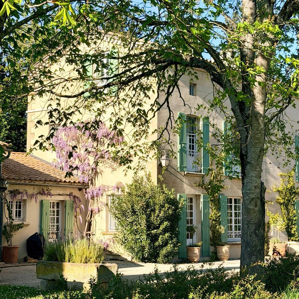 Property building, Spring, Garden, Garden view