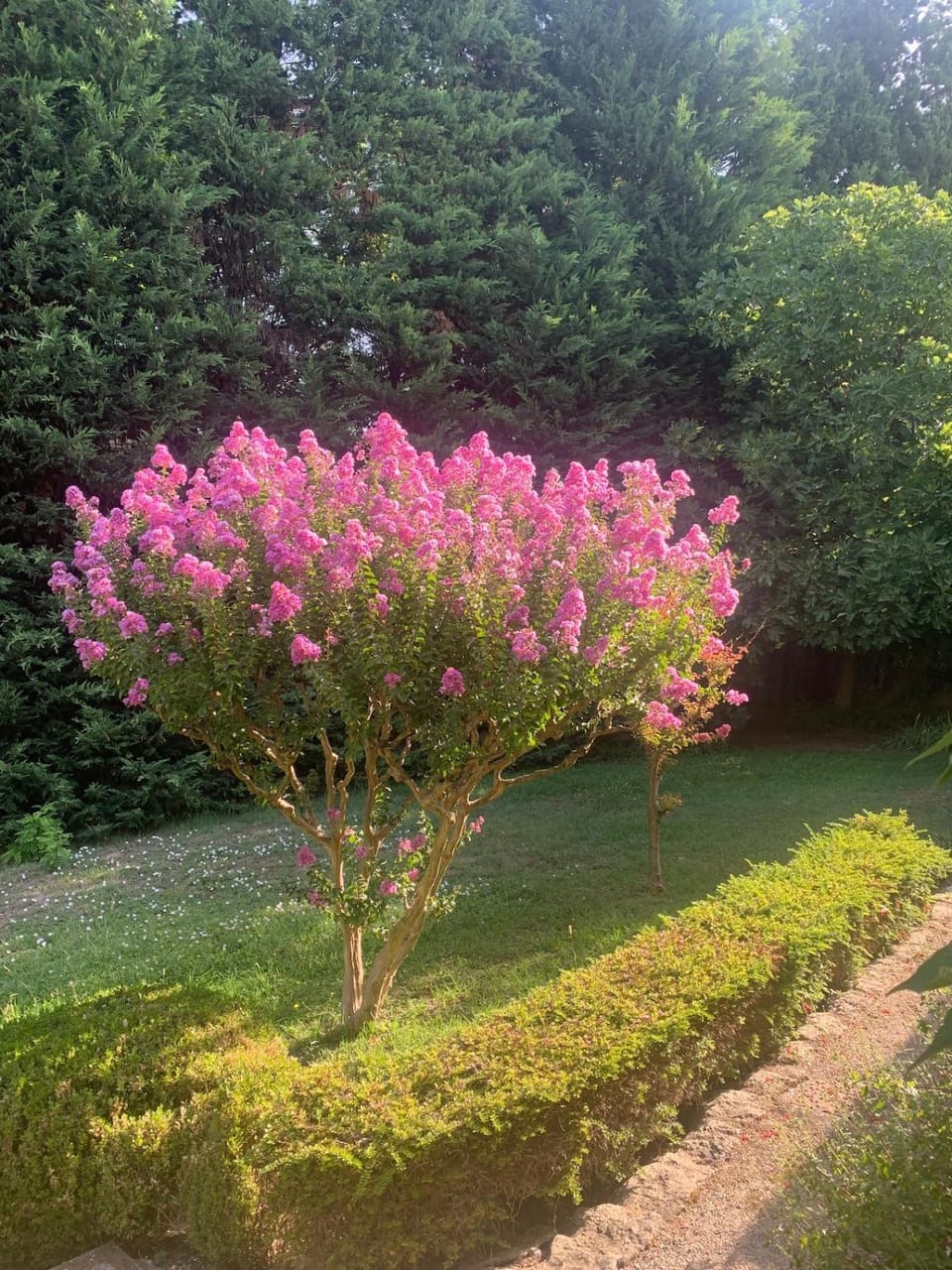 La Fontaine Aux Oliviers Villa in Avignon