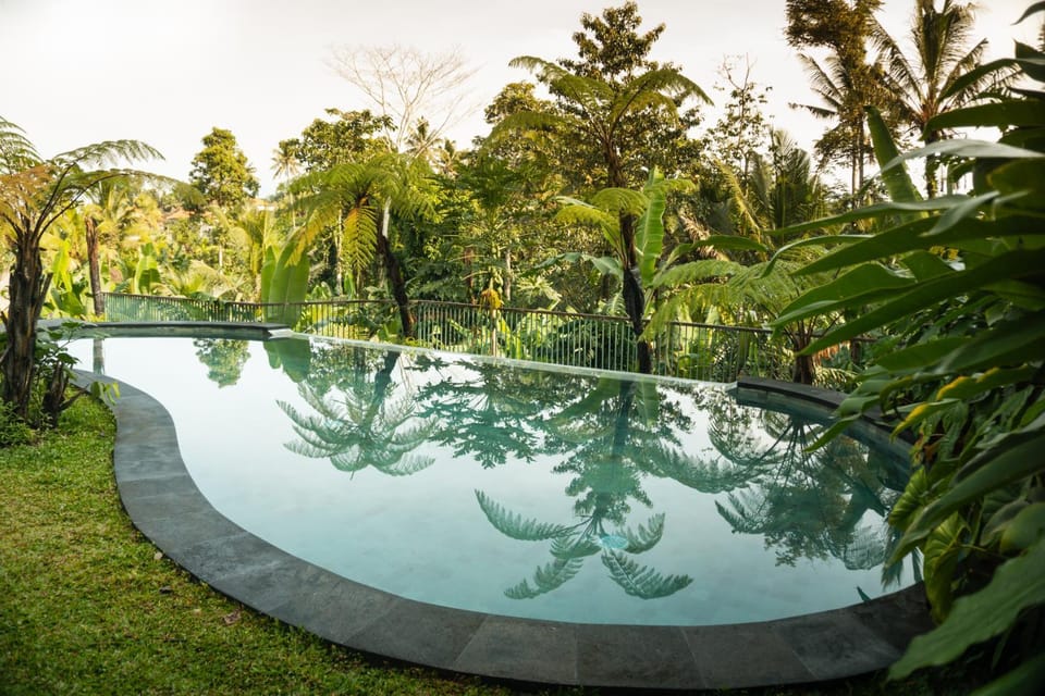 Pool view, Swimming pool