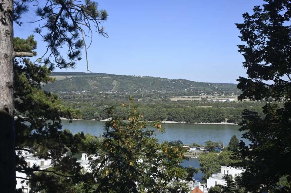 Peaceful Danube View & Still Close to City Apartment in Vienna