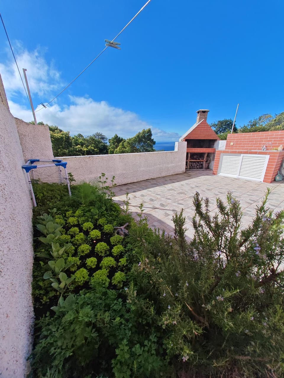 Garden, Balcony/Terrace
