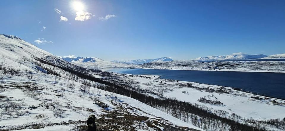 Vibeke and Heidi's holiday home House in Troms Og Finnmark