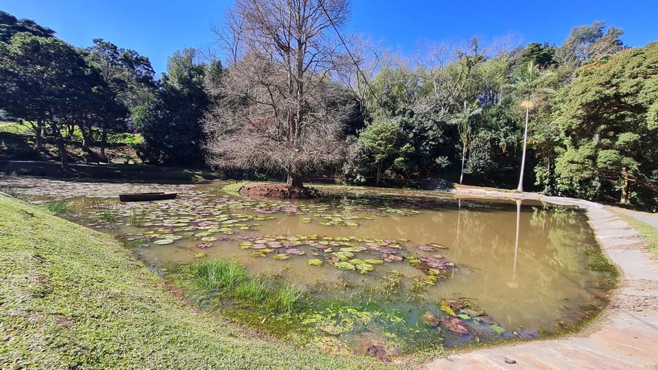 The Studio at Churchill Lane Apartment in KwaZulu-Natal