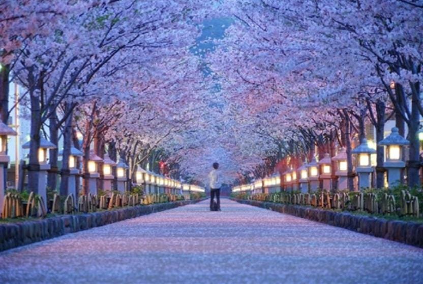 Costa Beach 202, 8min the beach, 4min Enoshima Station, Free Wi-Fi , 4 guests Apartment in Kanagawa Prefecture