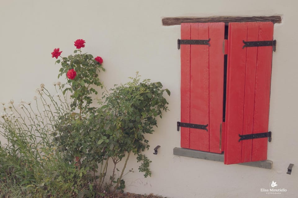 Casetta dalle finestre rosse Apartment in Liguria
