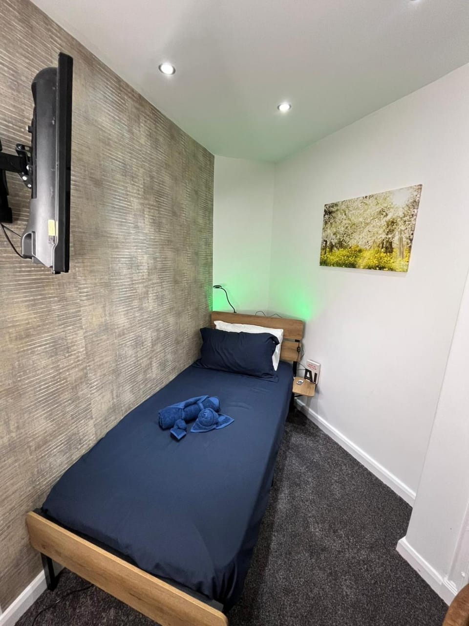 TV and multimedia, Photo of the whole room, Bedroom