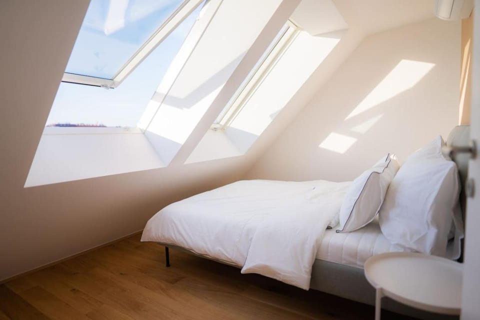 Penthouse with a terrace near Schonbrunn Palace Apartment in Vienna