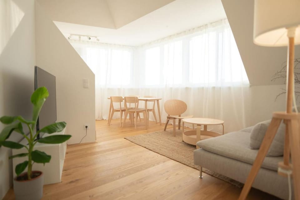 Penthouse with a terrace near Schonbrunn Palace Apartment in Vienna