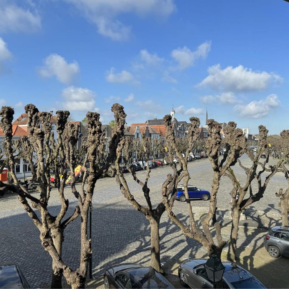Inn de Vijf Sinnen Bed and Breakfast in South Holland (province)