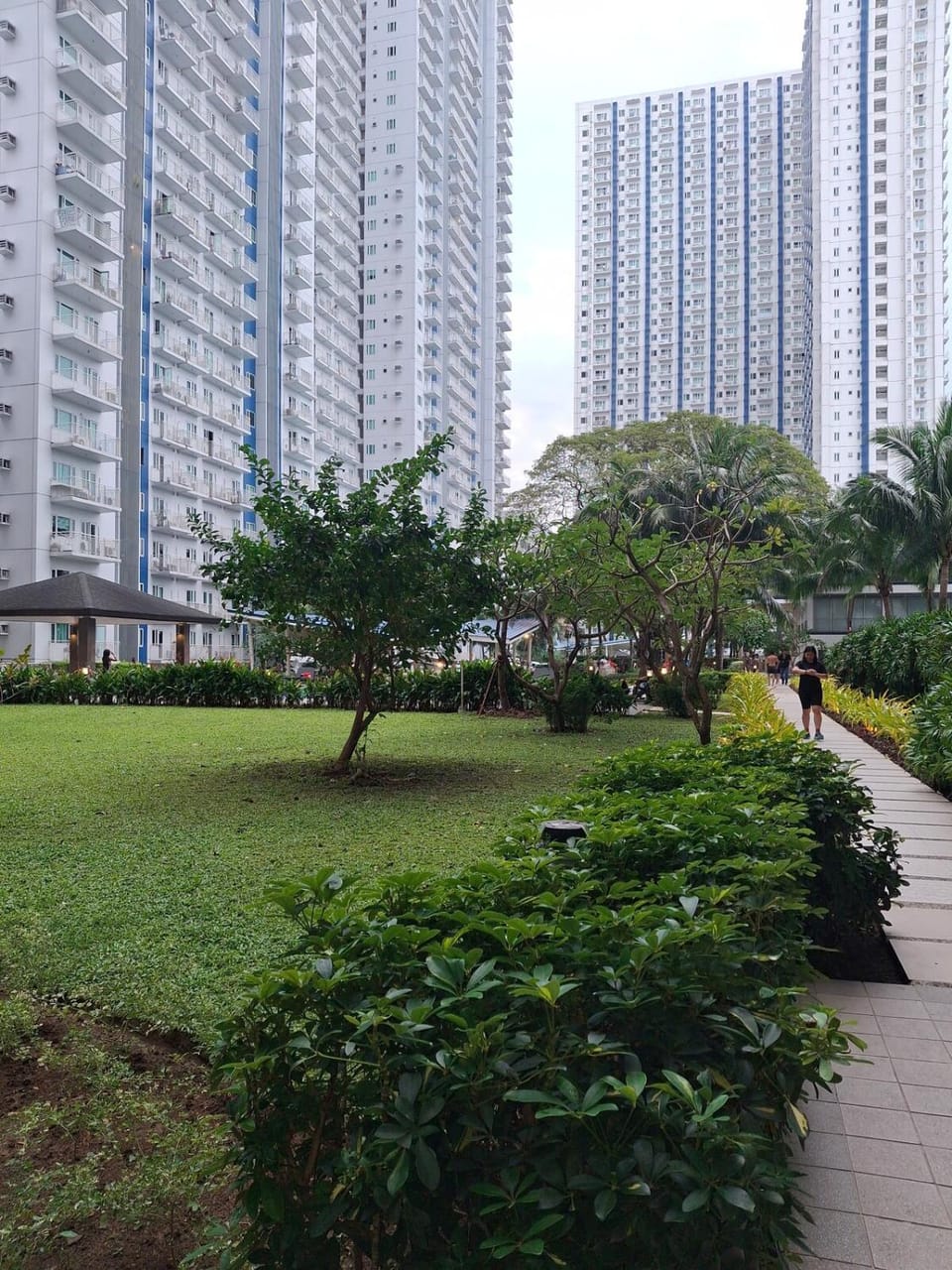 Property building, Garden, Garden view