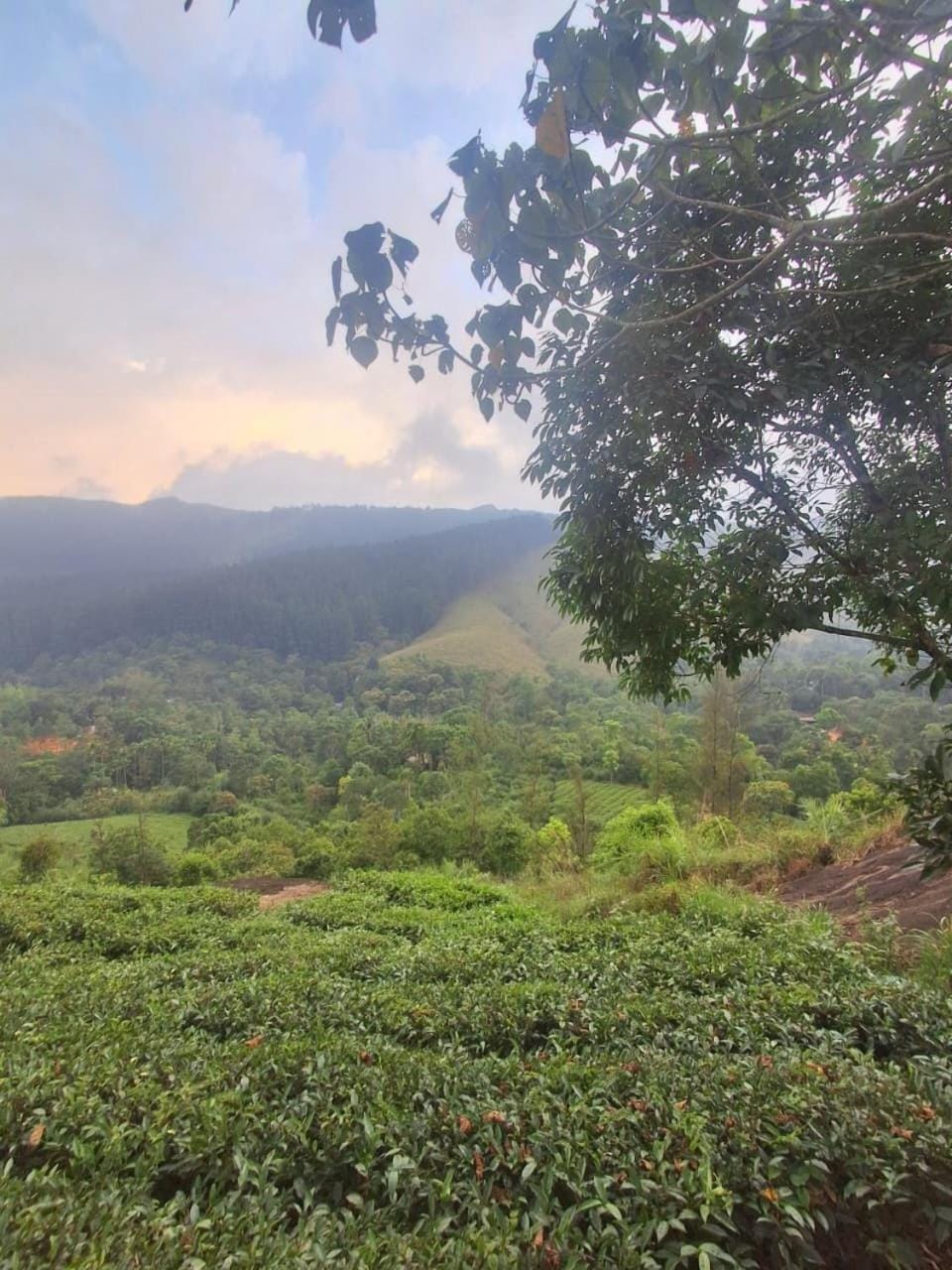 Mountain view
