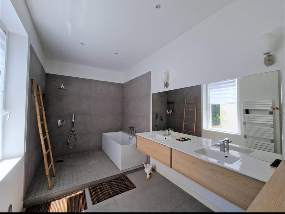 Charming residence Downtown Pool & Billiards Villa in Nimes