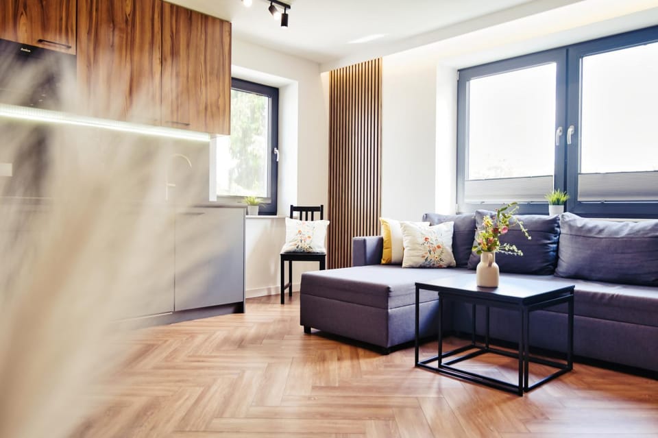 Kitchen or kitchenette, Living room, Seating area