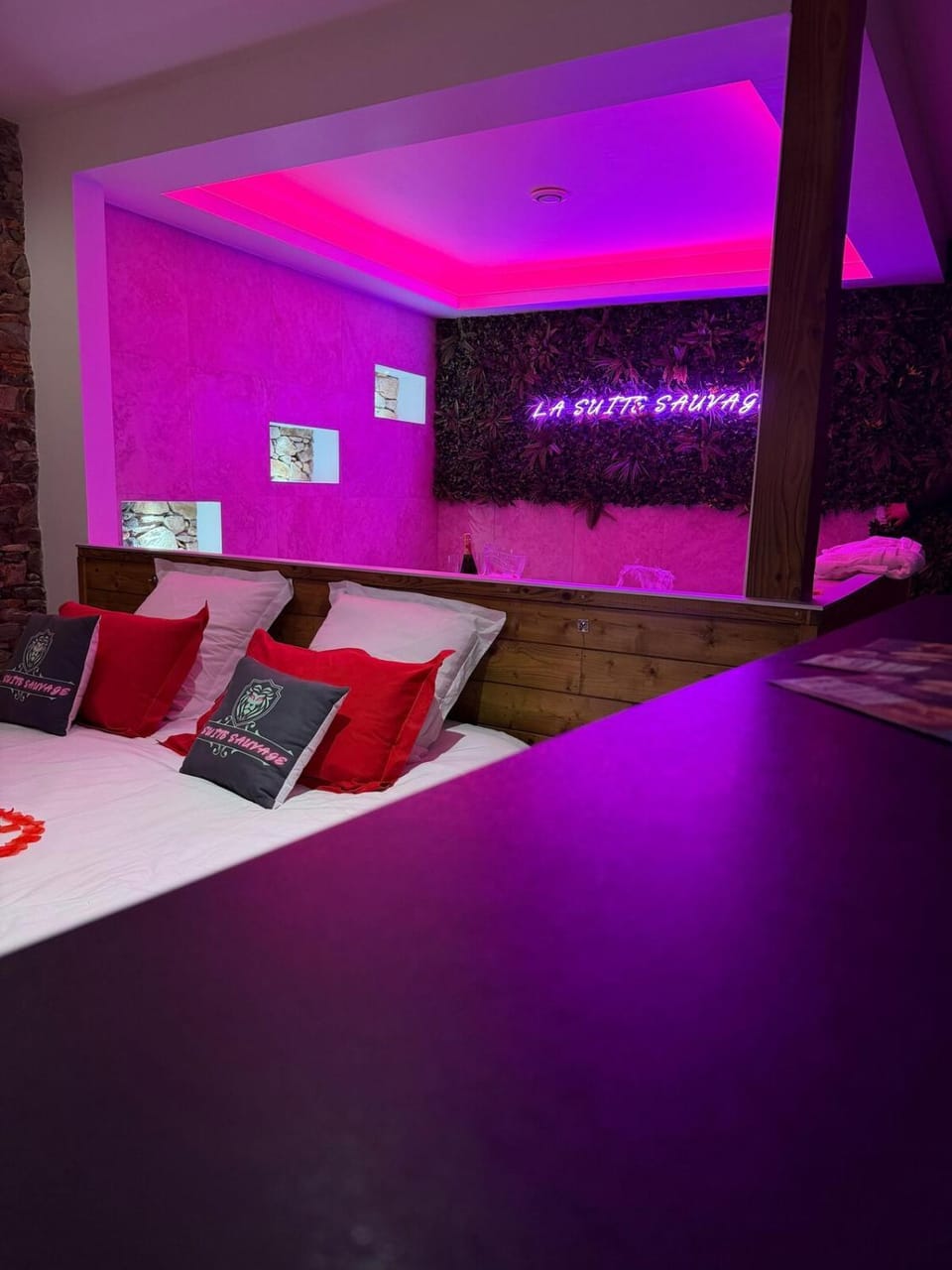 La Suite Sauvage Apartment in Pays de la Loire