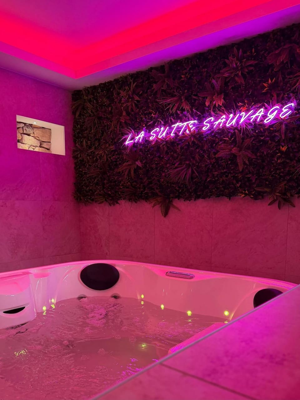 La Suite Sauvage Apartment in Pays de la Loire
