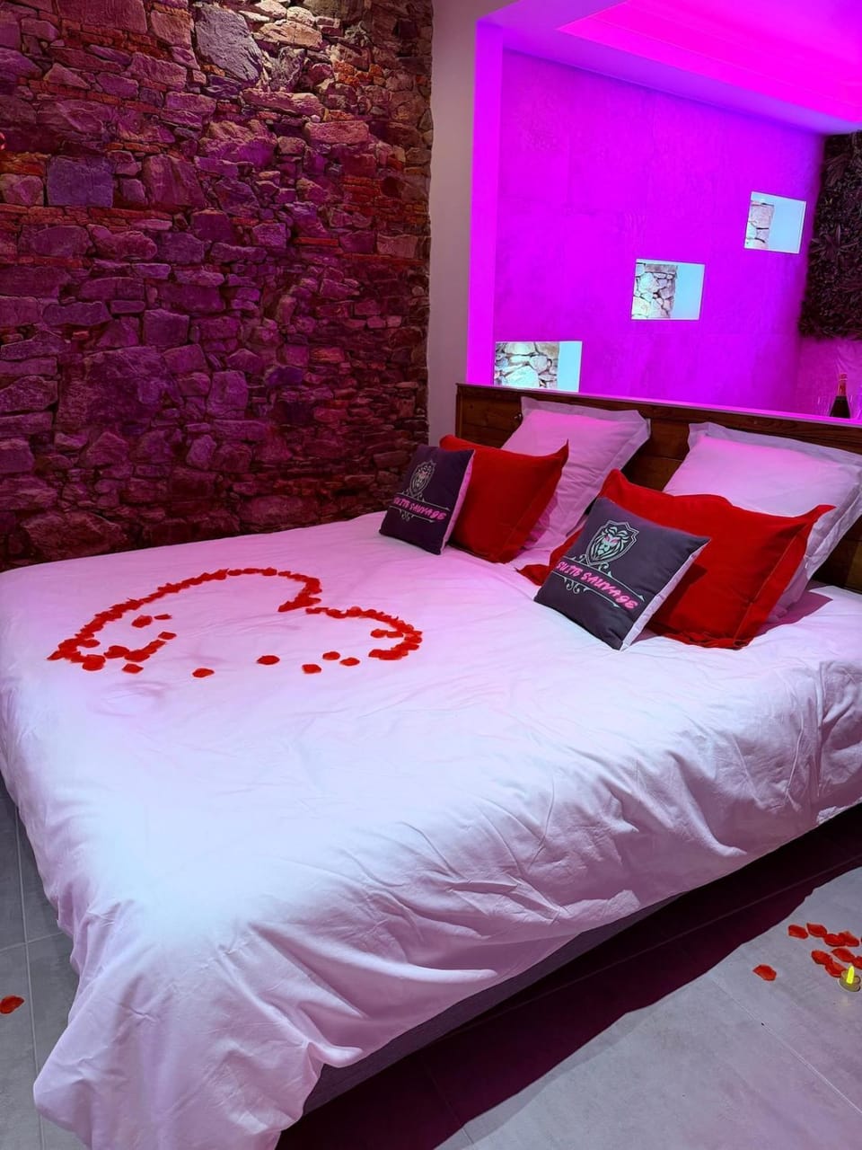 La Suite Sauvage Apartment in Pays de la Loire